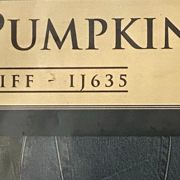 Indygo Junction IJ635 Pattern Pine Star Pumpkin Tunic Jeans Uncut Holiday - Picture 5 of 7